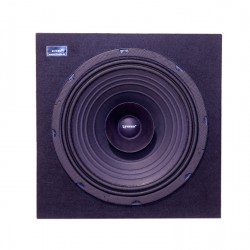 Loaded 12 inch Stage Monitor - Full Range 8 ohms