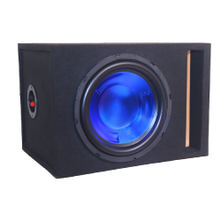 12-inch Loaded Subwoofer Enclosure with 1000W Peak Power/RMS 142W